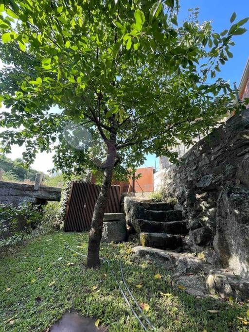 Casa Da Tintim Em Baiao Villa Екстериор снимка
