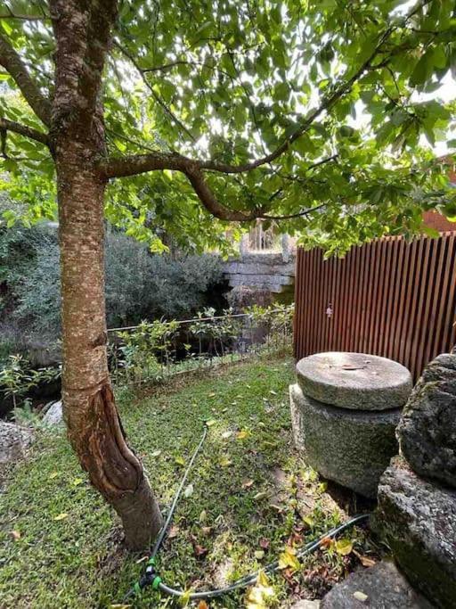Casa Da Tintim Em Baiao Villa Екстериор снимка