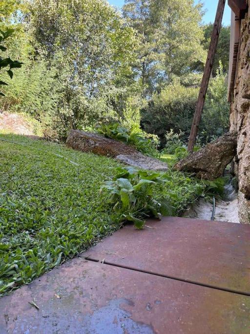 Casa Da Tintim Em Baiao Villa Екстериор снимка