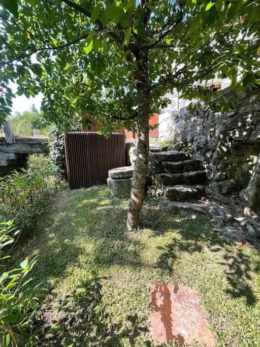 Casa Da Tintim Em Baiao Villa Екстериор снимка